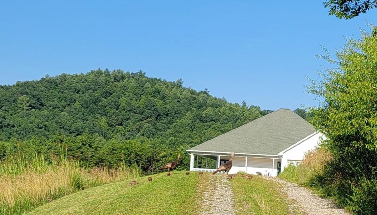Villa Mountain Retreat House To Relax And Enjoy à Lenoir Extérieur photo